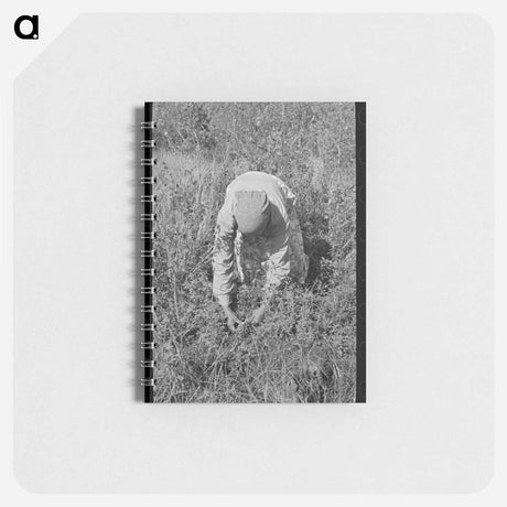 アートメモ帳-Blueberry Picker
 - ラッセル リー Memo.
