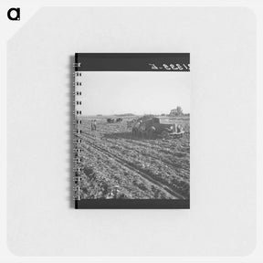 アートメモ帳-View of sugar beet field with crew loading truck for Nyssa factory - ドロテア ラング Memo.