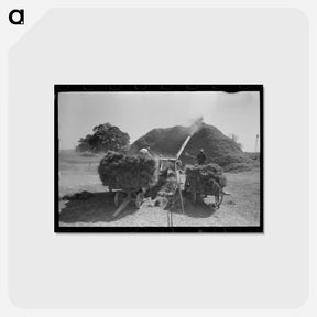アートポストカード-Threshing Rice Near Crowley
 - ラッセル リー Postcard.