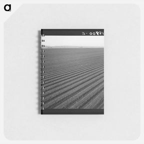 アートメモ帳-Untitled photo - ドロテア ラング Memo.