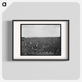 Near Meloland, Imperial Valley - Dorothea Lange Poster.