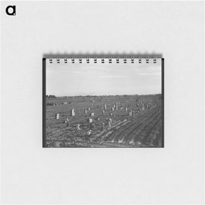 アートメモ帳-Near Meloland, Imperial Valley - ドロテア ラング Memo.