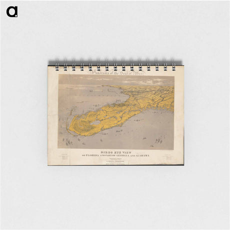 アートメモ帳-Florida and Beyond
 - ボストン公共図書館 Memo.