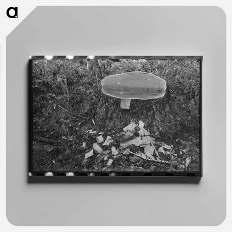 アートパネル-Sighting a Tree
 - ラッセル リー Canvas.
