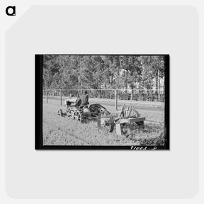 アートポストカード-Guayule Nursery Demonstration
 - ラッセル リー Postcard.