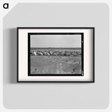 Untitled photo - Dorothea Lange Poster.