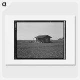 Untitled photo - Dorothea Lange Poster.