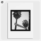 Untitled photo - Dorothea Lange Poster.