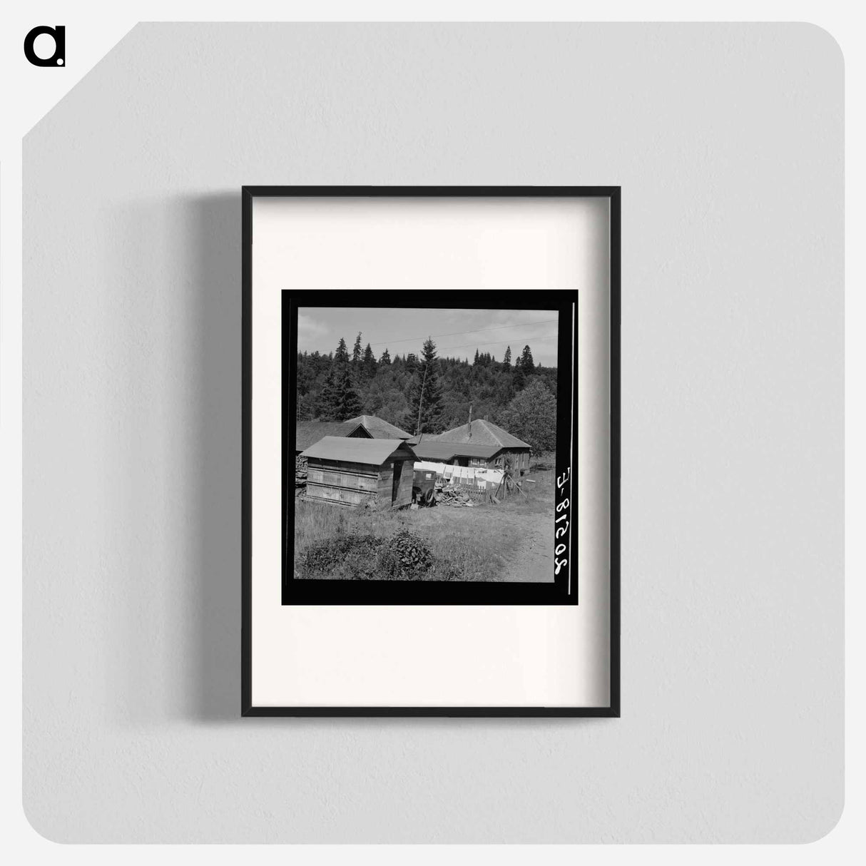 Western Washington, Grays Harbor County, Malone, Washington - Dorothea Lange Poster.