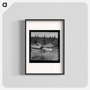 アートポスター-Western Washington, Grays Harbor County, Malone, Washington - ドロテア ラング Poster.