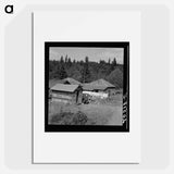 Western Washington, Grays Harbor County, Malone, Washington - Dorothea Lange Poster.