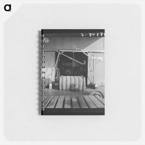 アートメモ帳-Untitled photo - ドロテア ラング Memo.
