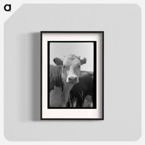 アートポスター-Yearling, Cruzen Ranch, Valley County, Idaho
 - ラッセル リー Poster.