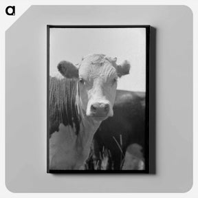 アートパネル-Yearling, Cruzen Ranch, Valley County, Idaho
 - ラッセル リー Canvas.