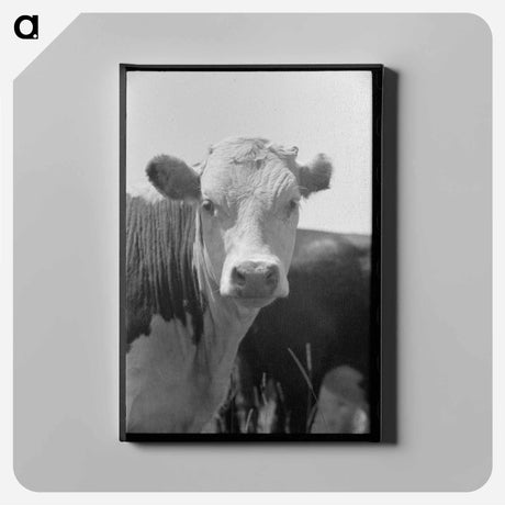 アートパネル-Yearling, Cruzen Ranch, Valley County, Idaho
 - ラッセル リー Canvas.