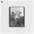 アートメモ帳-Yearling, Cruzen Ranch, Valley County, Idaho
 - ラッセル リー Memo.