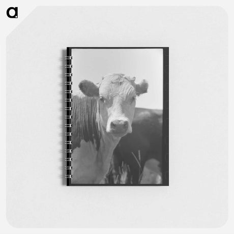 アートメモ帳-Yearling, Cruzen Ranch, Valley County, Idaho
 - ラッセル リー Memo.