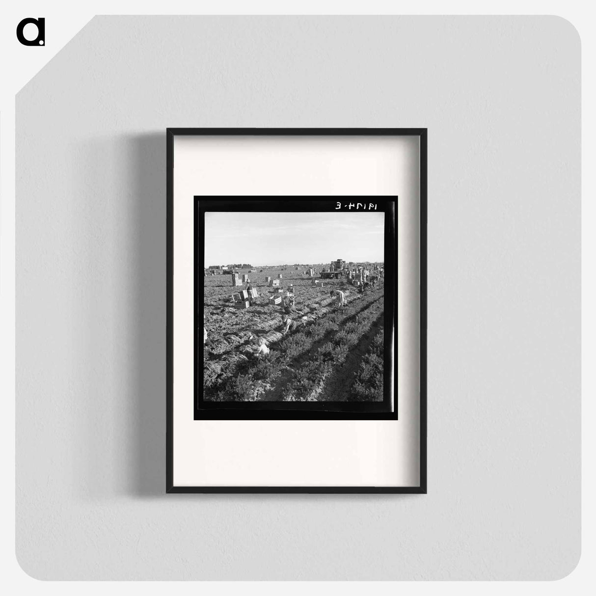 Untitled photo - Dorothea Lange Poster.