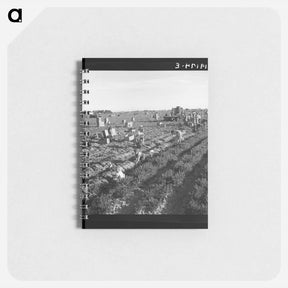 アートメモ帳-Untitled photo - ドロテア ラング Memo.