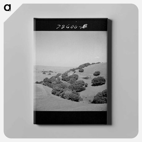 アートパネル-San Benito County Hills
 - ラッセル リー Canvas.