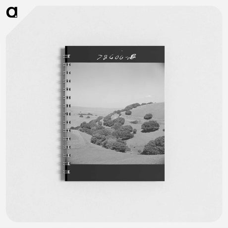 アートメモ帳-San Benito County Hills
 - ラッセル リー Memo.