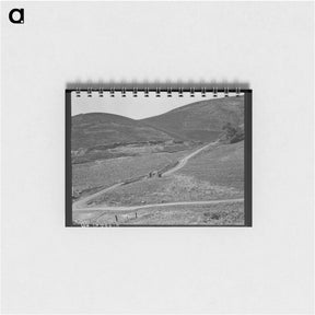 アートメモ帳-The pea fields of the California coast - ドロテア ラング Memo.