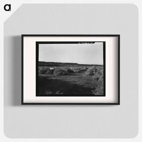 アートポスター-California migratory farm laborers, drought refugees from Oklahoma, camped in the brush on the river bottom with no water or sanitation. On the outskirts of Brawley. Imperial Valley, California. - ドロテア ラング Poster.
