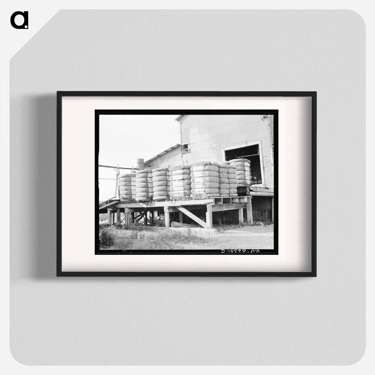 Bales of cotton on gin platform - Dorothea Lange Poster.