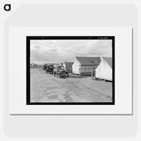 Untitled photo - Dorothea Lange Poster.