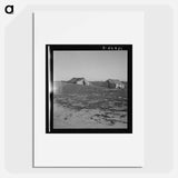 Untitled photo - Dorothea Lange Poster.