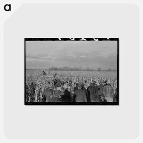アートポストカード-Cornhusking Contest, Ontario, Oregon
 - ラッセル リー Postcard.