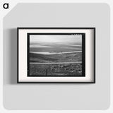Untitled photo - Dorothea Lange Poster.