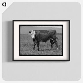 アートポスター-Yearling, Cruzen Ranch, Valley County, Idaho
 - ラッセル リー Poster.