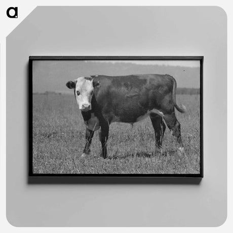 アートパネル-Yearling, Cruzen Ranch, Valley County, Idaho
 - ラッセル リー Canvas.