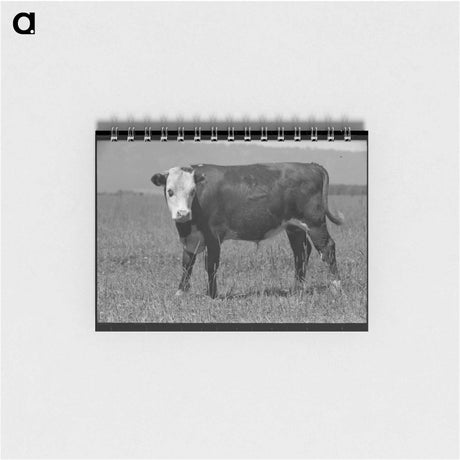 アートメモ帳-Yearling, Cruzen Ranch, Valley County, Idaho
 - ラッセル リー Memo.