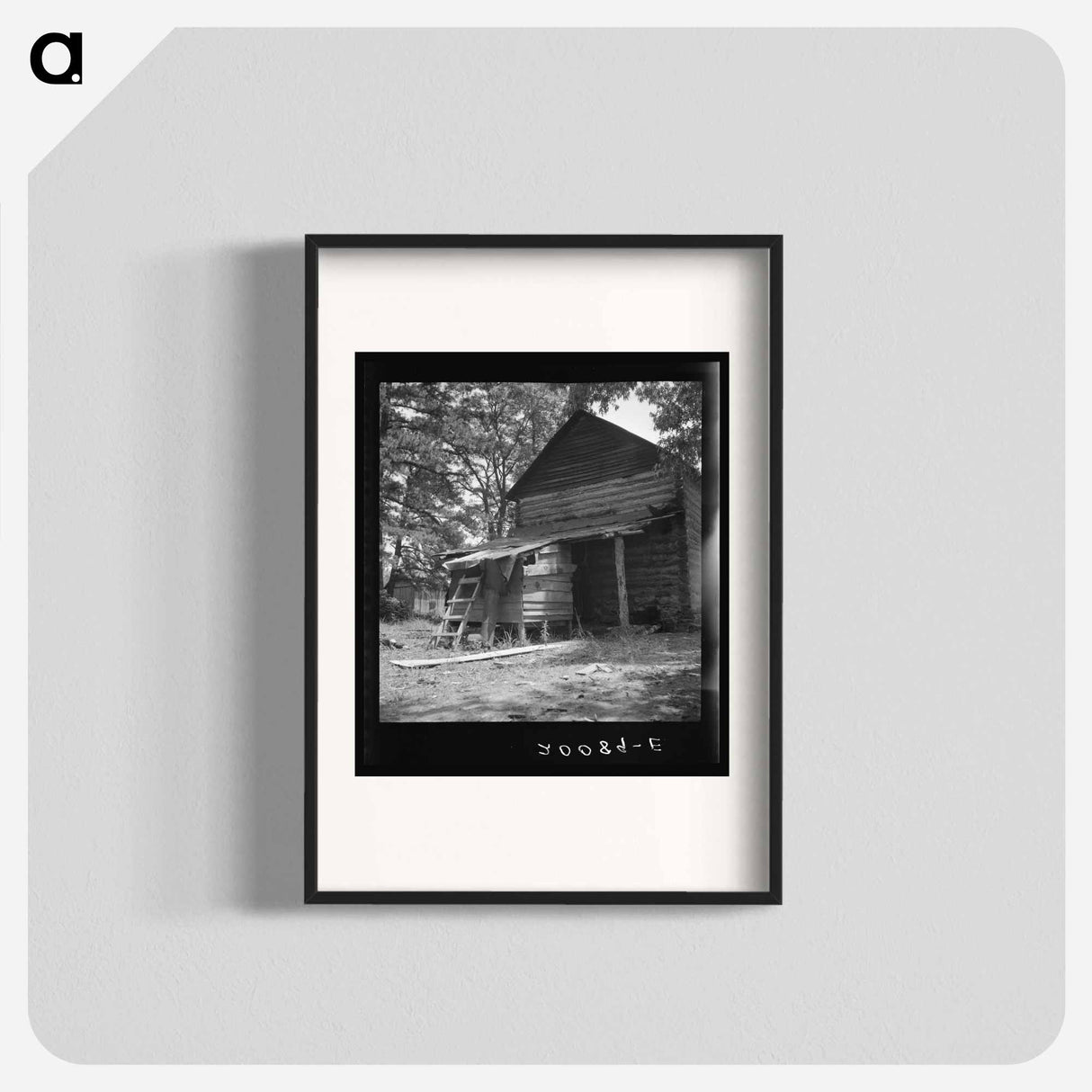 Untitled photo, possibly related to: Young son of tenant farmer gathering sticks for workers to string tobacco on. Granville County, North Carolina - ドロテア ラング Poster.