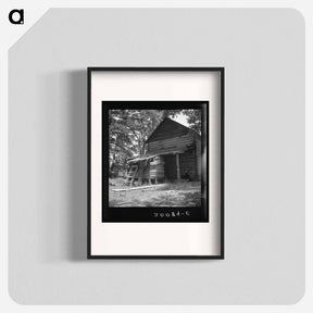 アートポスター-Untitled photo, possibly related to: Young son of tenant farmer gathering sticks for workers to string tobacco on. Granville County, North Carolina - ドロテア ラング Poster.