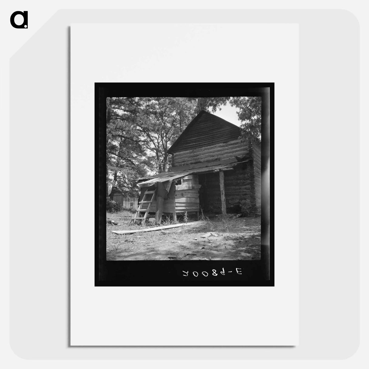 Untitled photo, possibly related to: Young son of tenant farmer gathering sticks for workers to string tobacco on. Granville County, North Carolina - ドロテア ラング Poster.