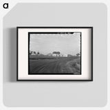 Untitled photo, possibly related to: View of Resettlement Administration's part-time farms. Glendale, Arizona - Dorothea Lange Poster.