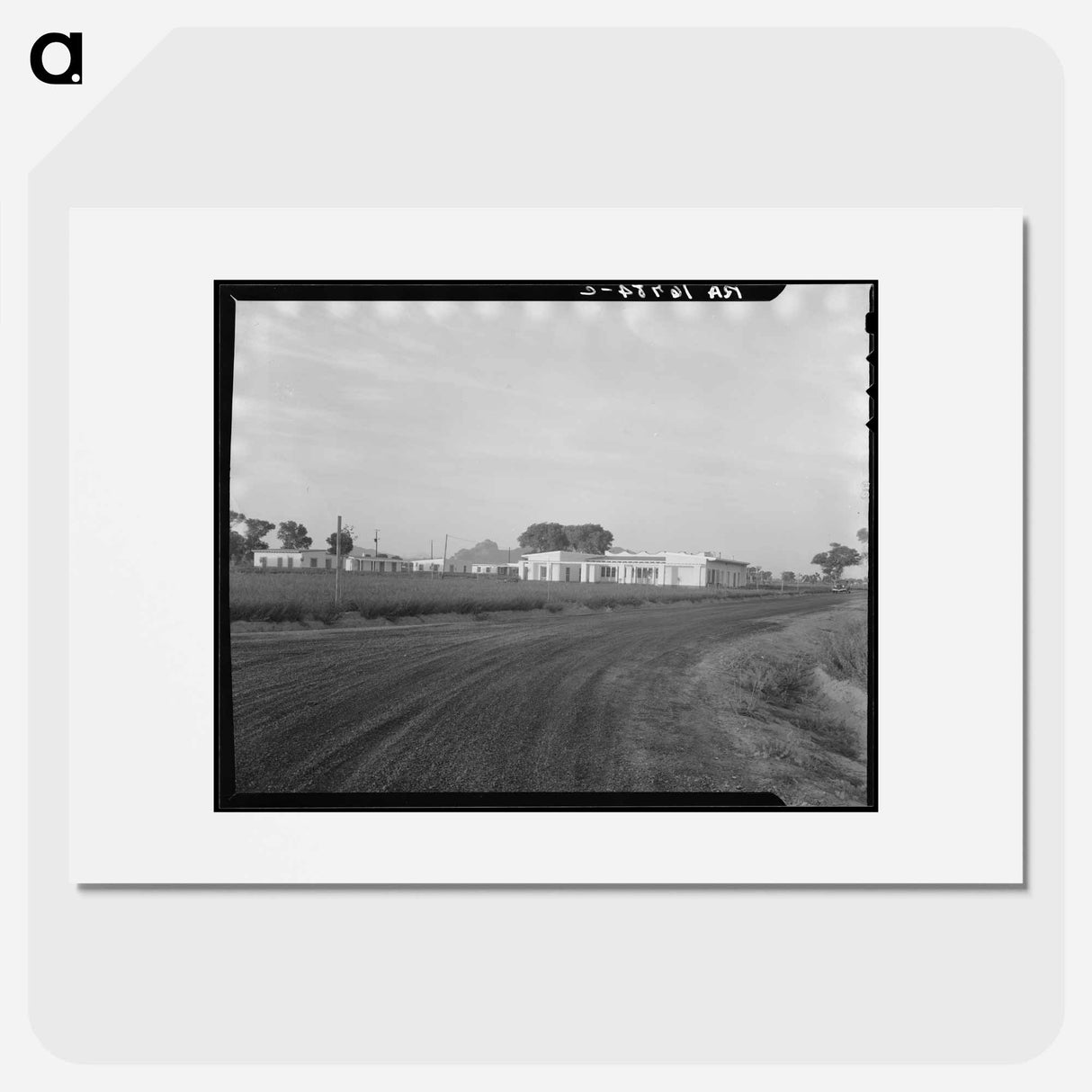 Untitled photo, possibly related to: View of Resettlement Administration's part-time farms. Glendale, Arizona - Dorothea Lange Poster.