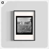 Untitled photo - Dorothea Lange Poster.
