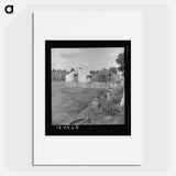 Untitled photo - Dorothea Lange Poster.