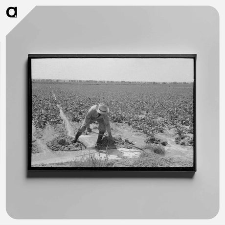 アートパネル-Irrigated Sugar Beets
 - ラッセル リー Canvas.