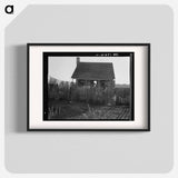 House on a cotton plantation in the Louisiana delta - Dorothea Lange Poster.