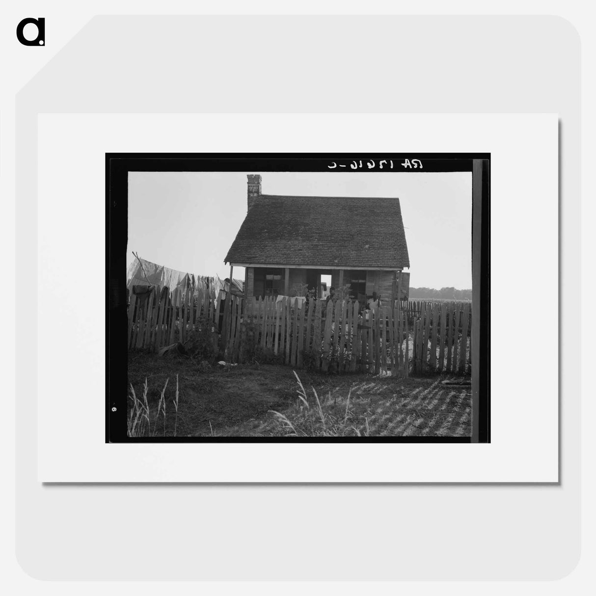 House on a cotton plantation in the Louisiana delta - Dorothea Lange Poster.