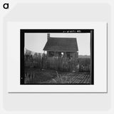 House on a cotton plantation in the Louisiana delta - Dorothea Lange Poster.