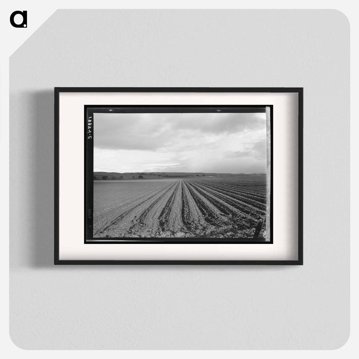 Untitled photo - Dorothea Lange Poster.