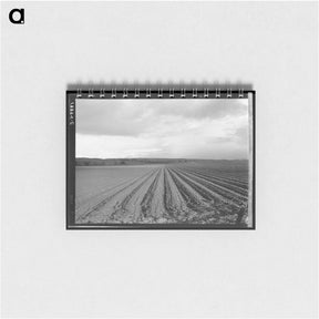 アートメモ帳-Untitled photo - ドロテア ラング Memo.
