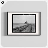 Untitled photo - Dorothea Lange Poster.