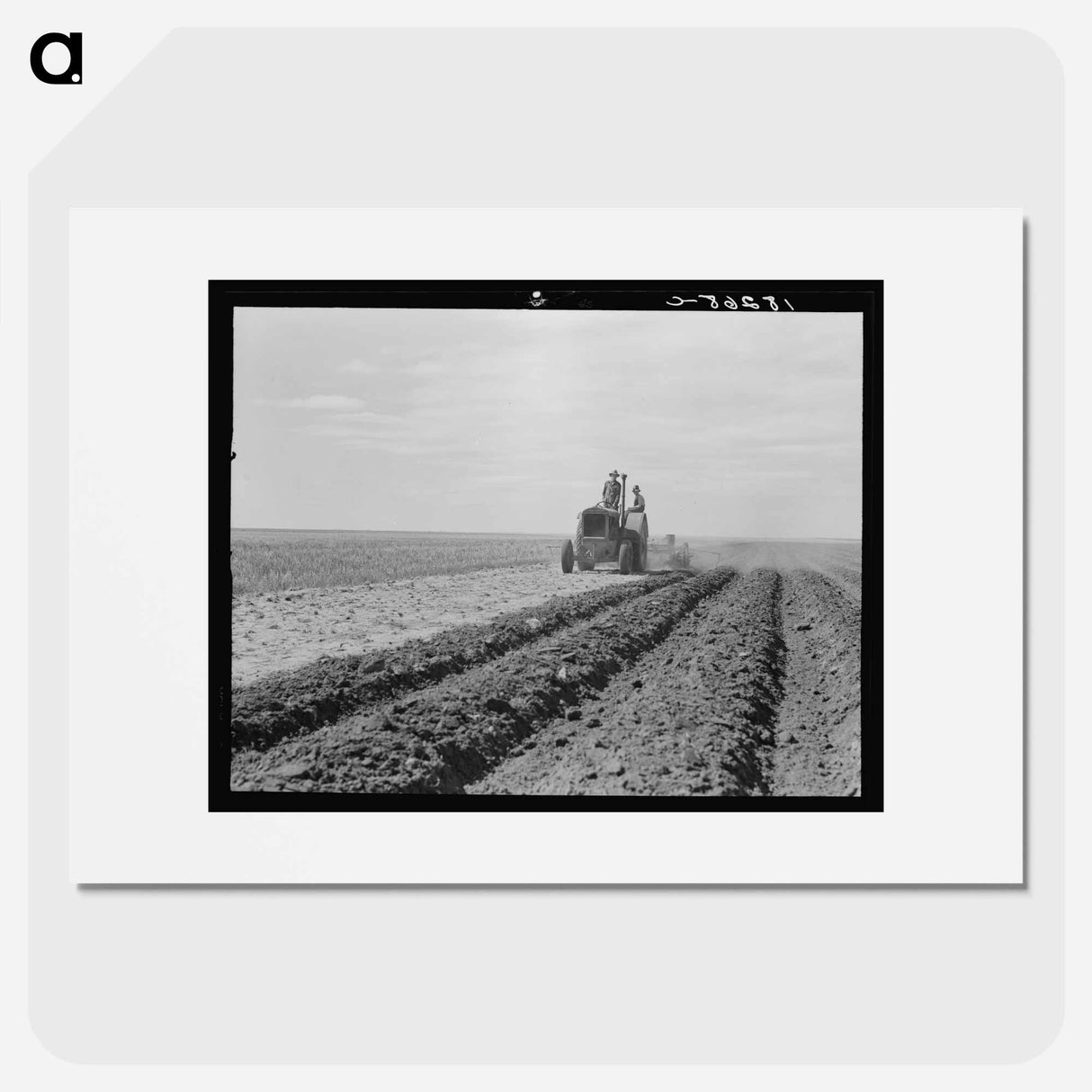 Untitled photo - Dorothea Lange Poster.